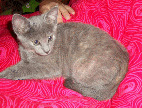 Mein Lieblingskissen